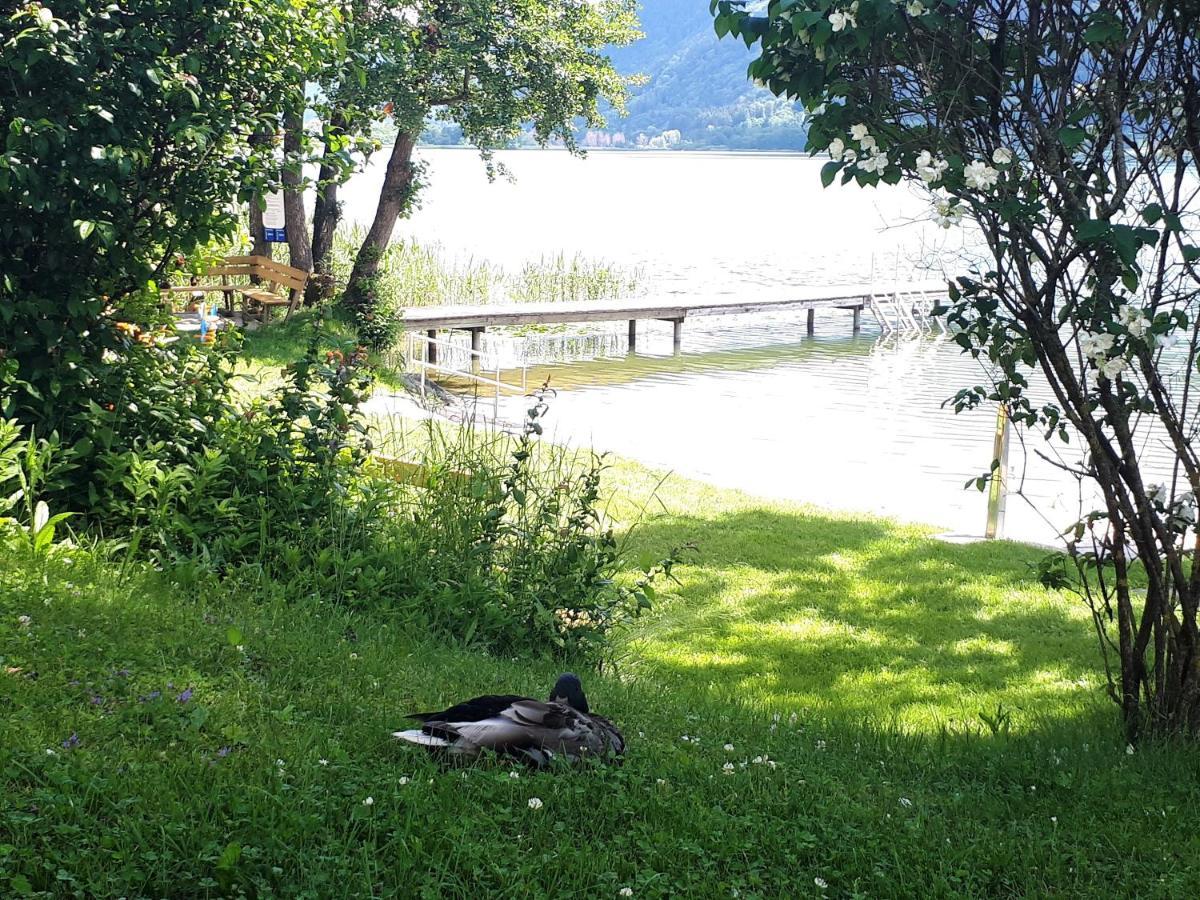 Anna Seeblick Appartement, Haus Haensel&Gretel Am Ossiachersee Mit Direktem Seezugang, Hallenbad Bodensdorf Exteriér fotografie